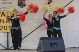 falunap2014_28_20180901